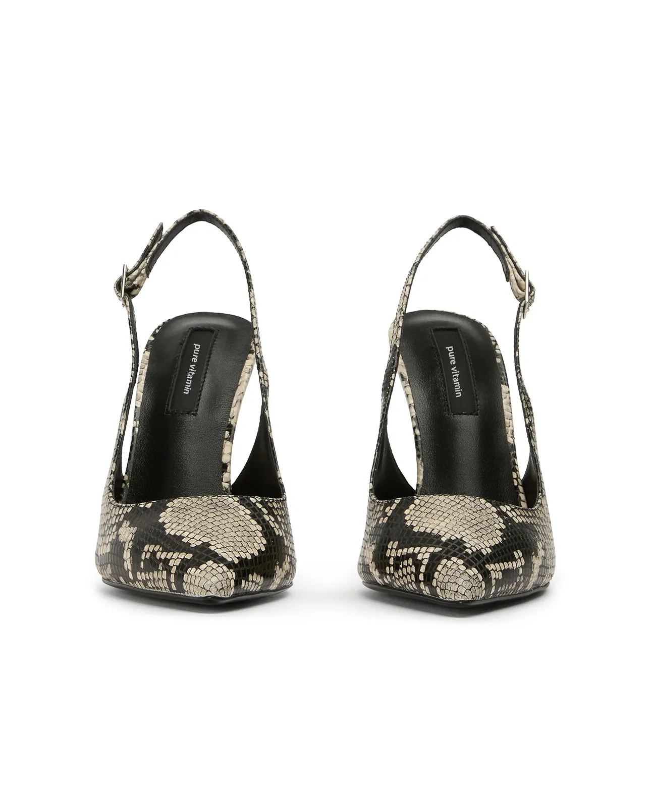 ASTI REPTIL