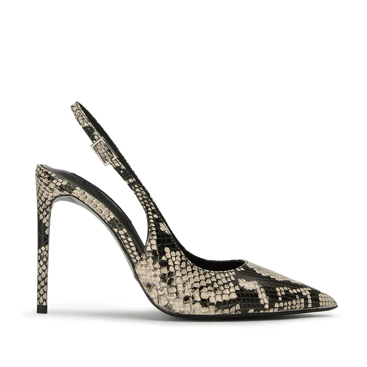 ASTI REPTIL