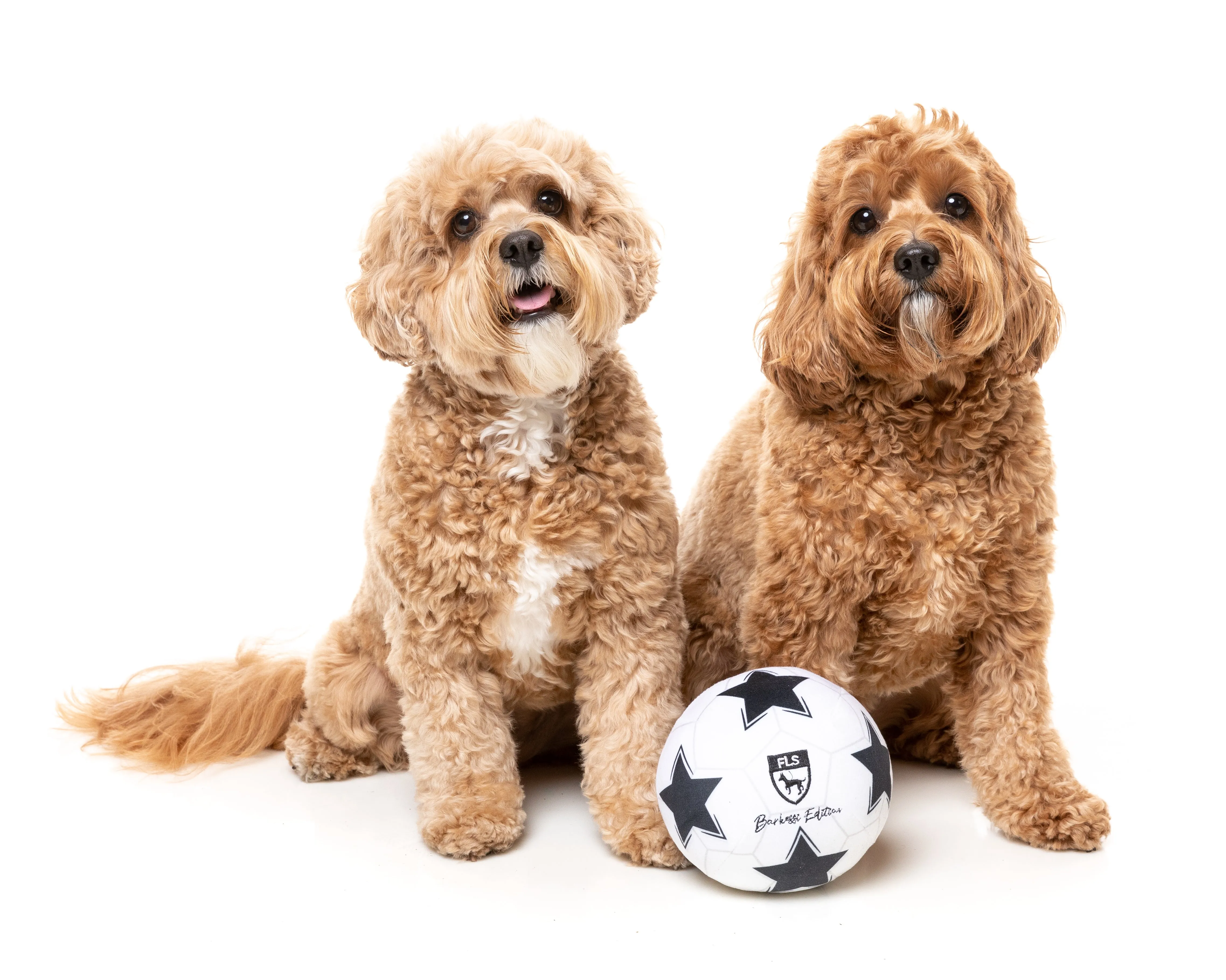 FuzzYard Squeaky Plush Dog Toy (Soccer Ball)