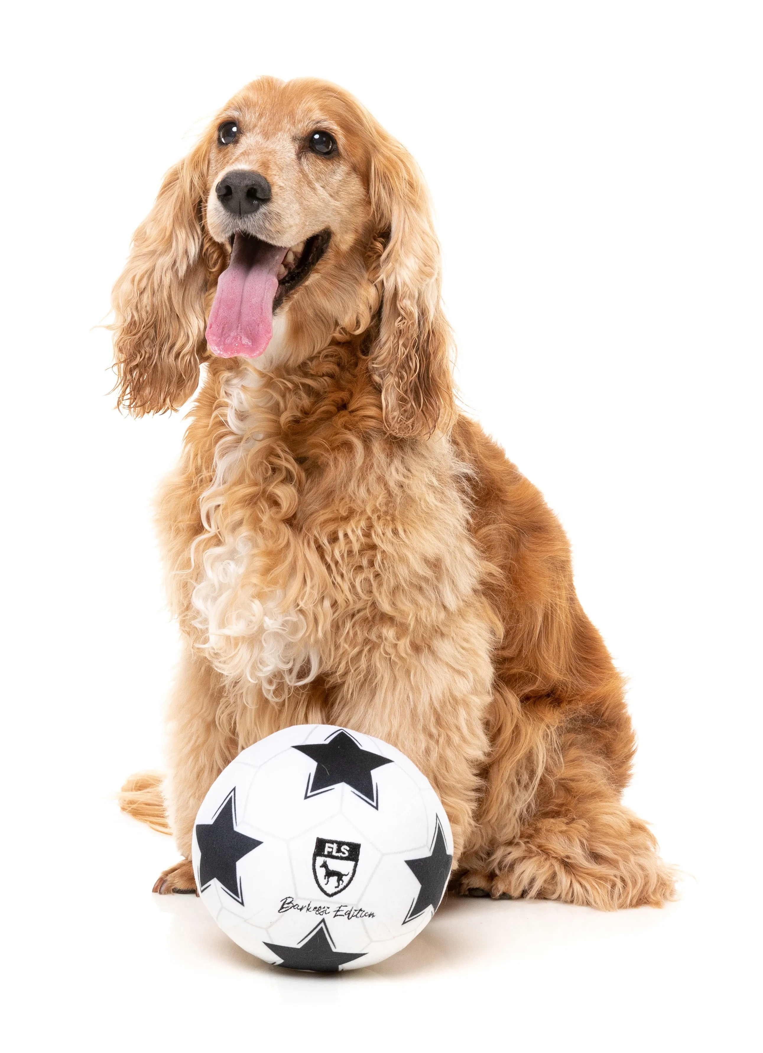 FuzzYard Squeaky Plush Dog Toy (Soccer Ball)