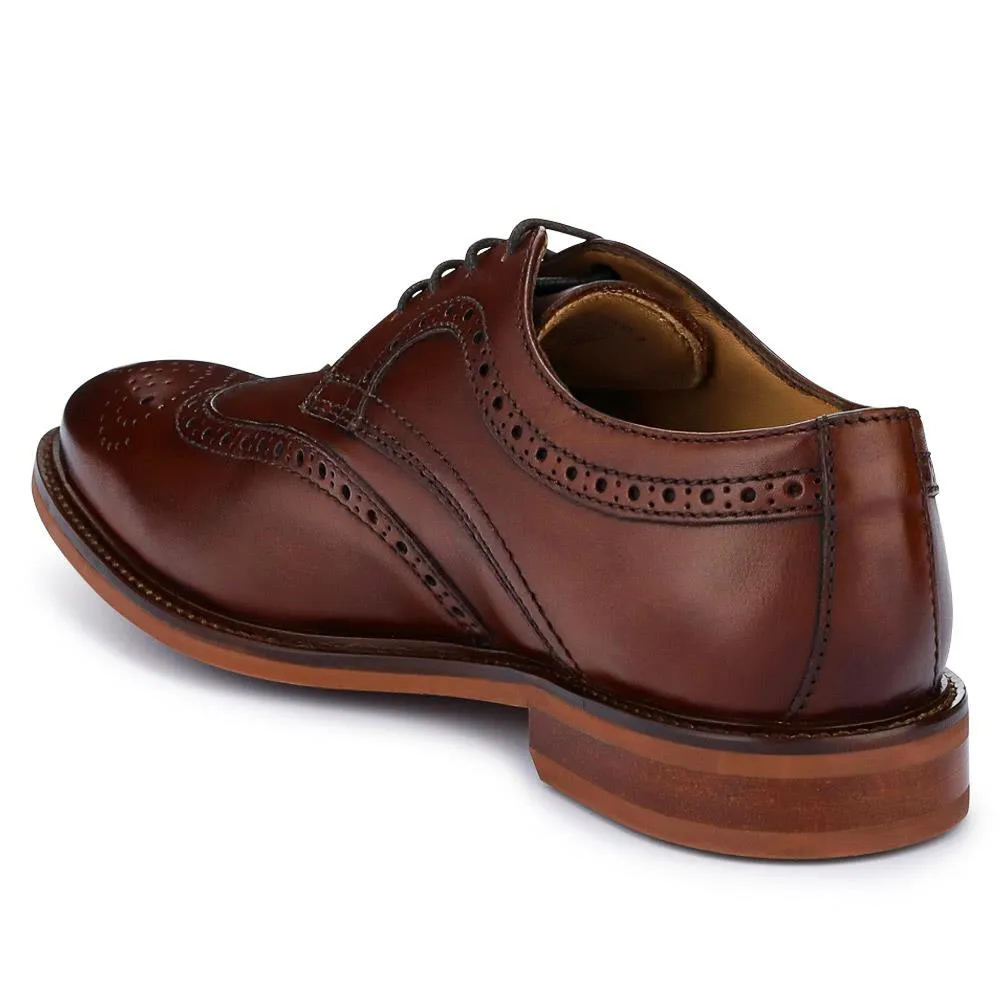 Longwood Suede Derby Brogues - LONGWOOD / 320 482