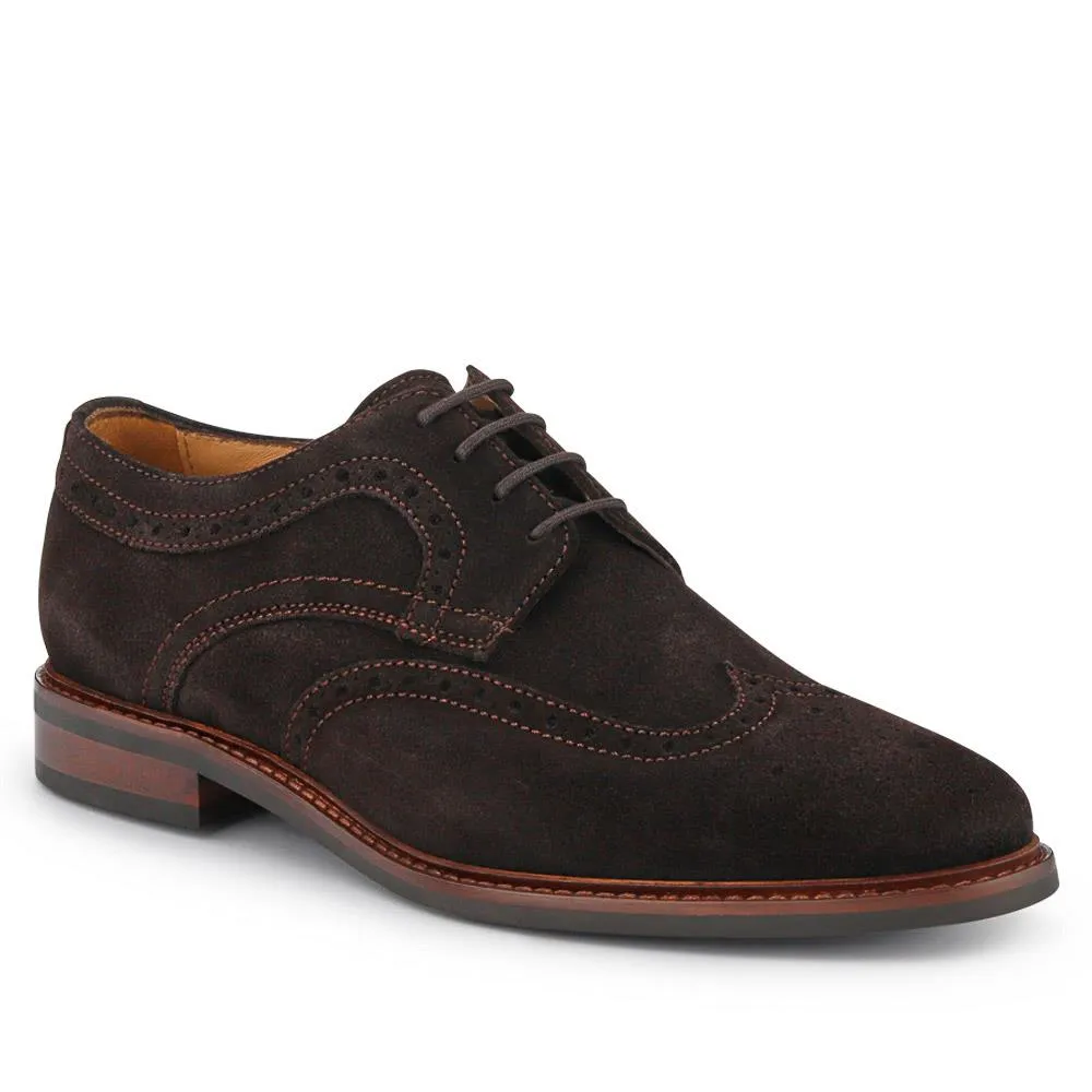 Longwood Suede Derby Brogues - LONGWOOD / 320 482
