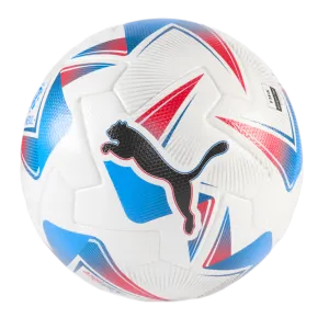 Puma Cumbre CONMEBOL Copa America FIFA Match Ball