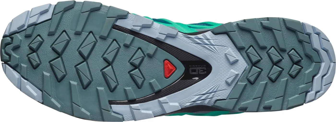 SALOMON SHOES XA PRO 3D v8 GTX W Legion/Tro