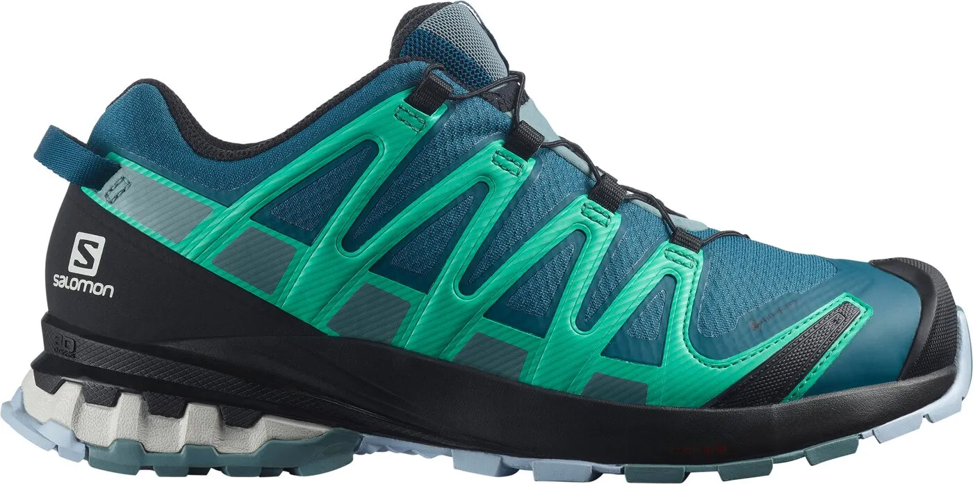 SALOMON SHOES XA PRO 3D v8 GTX W Legion/Tro