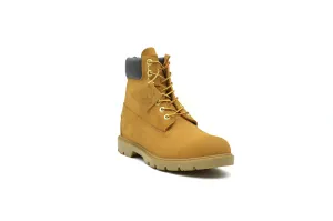 TIMBERLAND 6" Classic