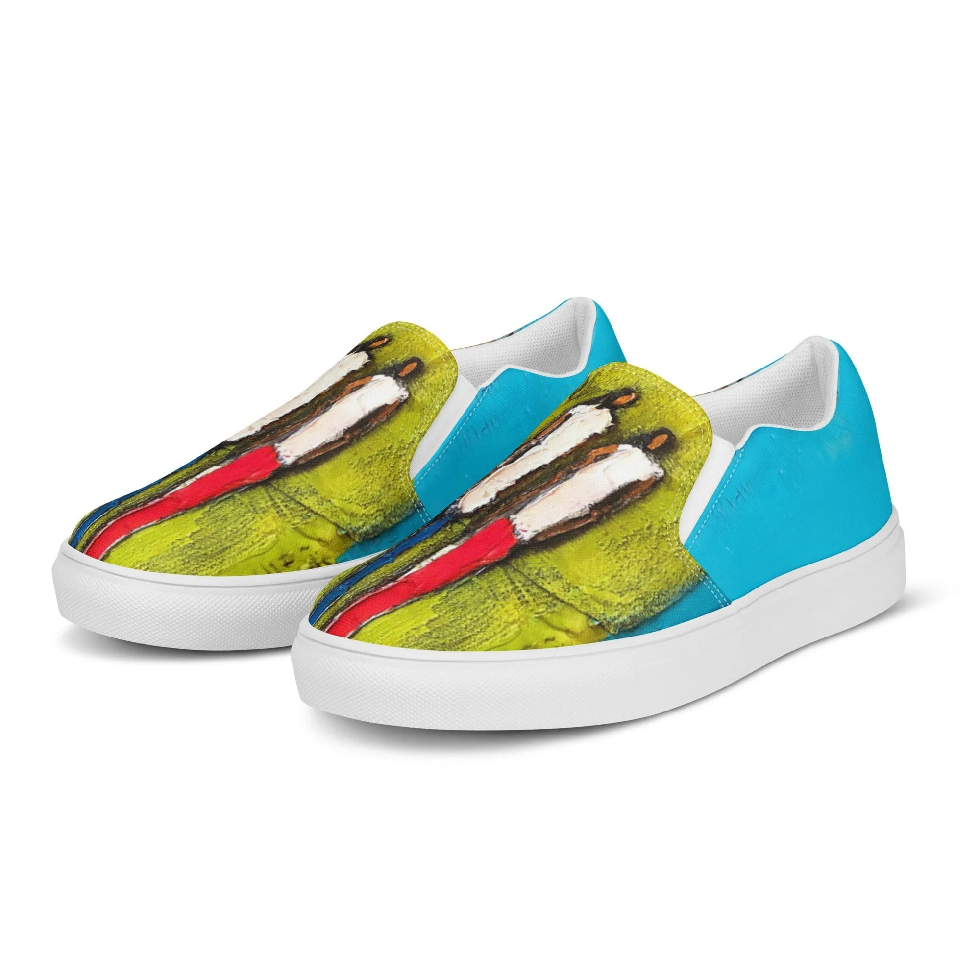Times Like These Men’s slip-on canvas shoes