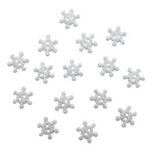 Winter Shimmer